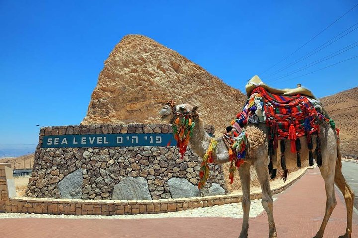 Masada, Døde Hav & Bedouin Hospitality - Lille gruppe fra Tel Aviv