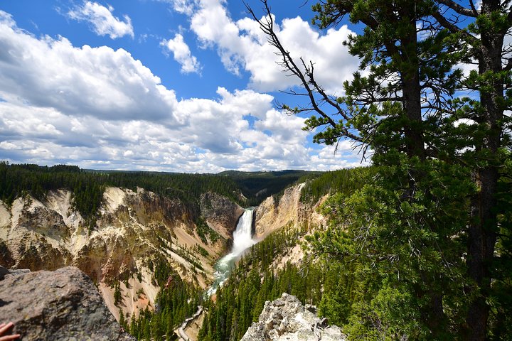 Visite privée de Yellowstone : sites emblématiques, faune, randonnées familiales + déjeuner