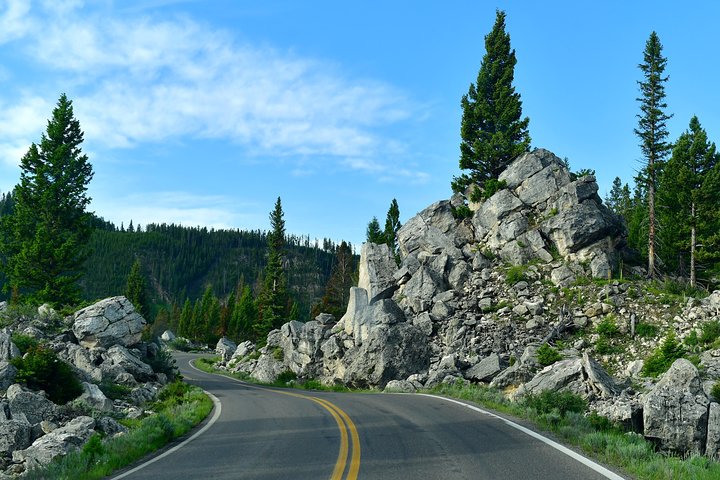Osservazione privata dei lupi di Yellowstone e safari naturalistico + pranzo