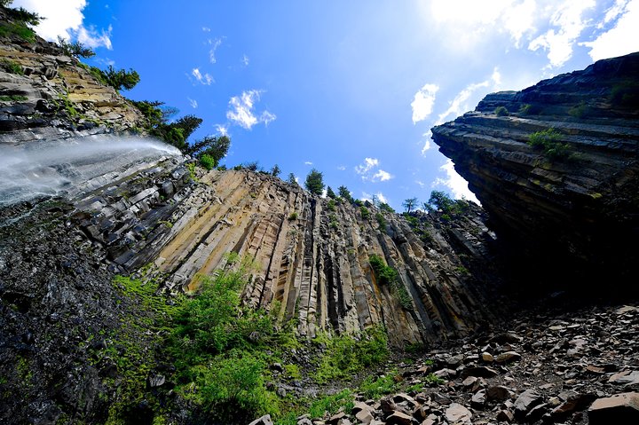 Osservazione privata dei lupi di Yellowstone e safari naturalistico + pranzo