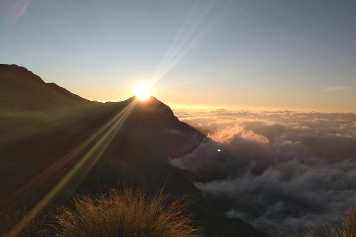 Tour del amanecer en Top Station, Munnar (Por Munnar Info)