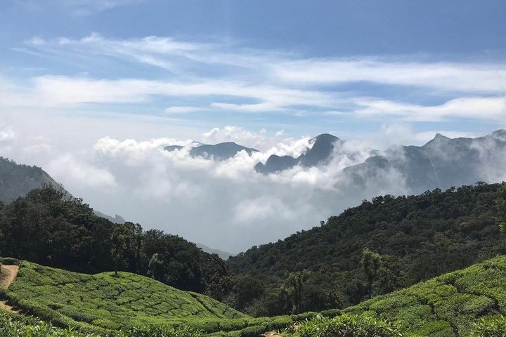 Tour del amanecer en Top Station, Munnar (Por Munnar Info)
