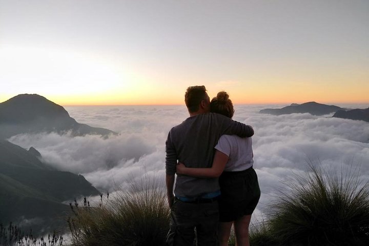 Tour del amanecer en Top Station, Munnar (Por Munnar Info)