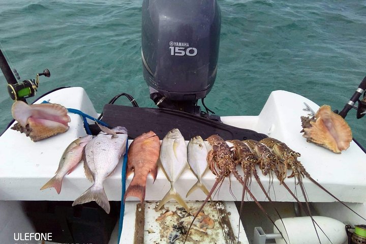 Premium privato di pesca, snorkeling e Beach cookout tour a San Pedro, Belize