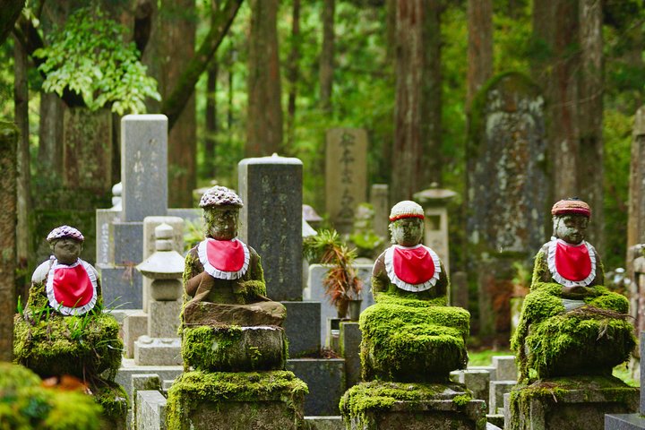 Koyasan heldags privat tur