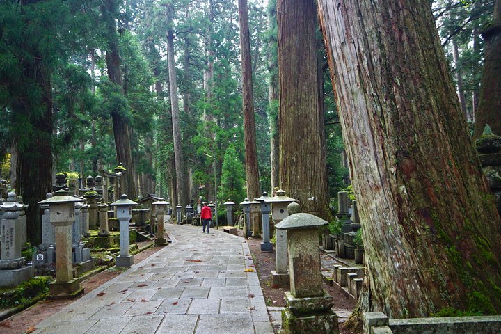 Koyasan heldags privat tur