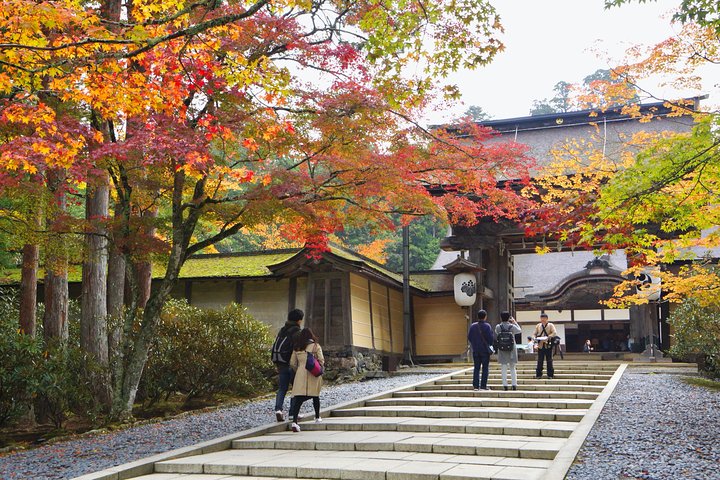 Koyasan heldags privat tur