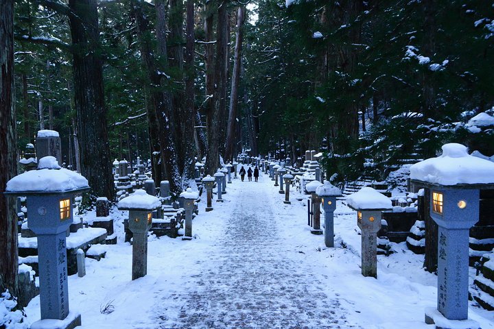 Koyasan heldags privat tur