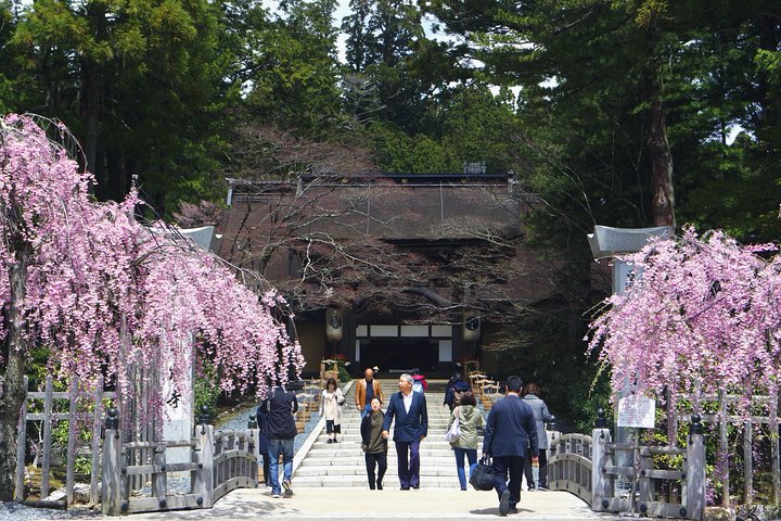 Koyasan heldags privat tur