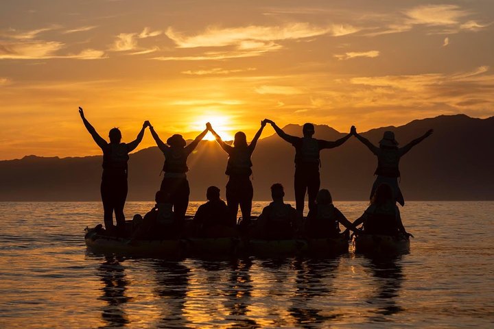 Aventura en kayak con focas en Kaikoura