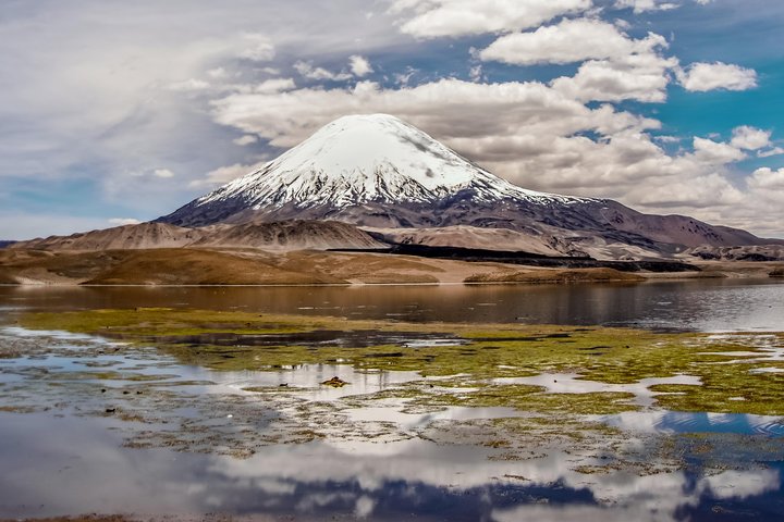 Parco Nazionale Lauca 2D / 1N "Arica - Putre - Lago Chungará - Arica"