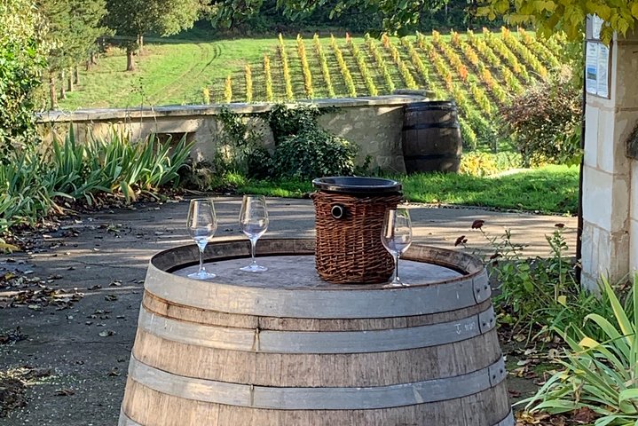 Visites des vignobles de la Loire en anglais au départ de Chinon