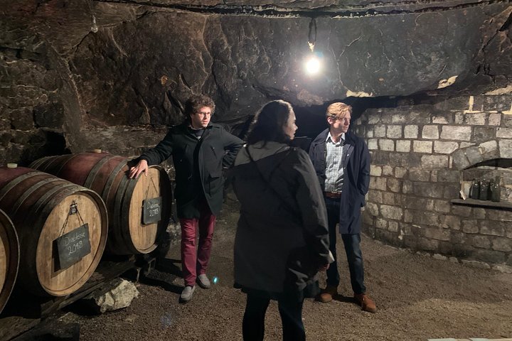 Visites des vignobles de la Loire en anglais au départ de Chinon