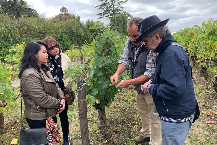 Visites des vignobles de la Loire en anglais au départ de Chinon