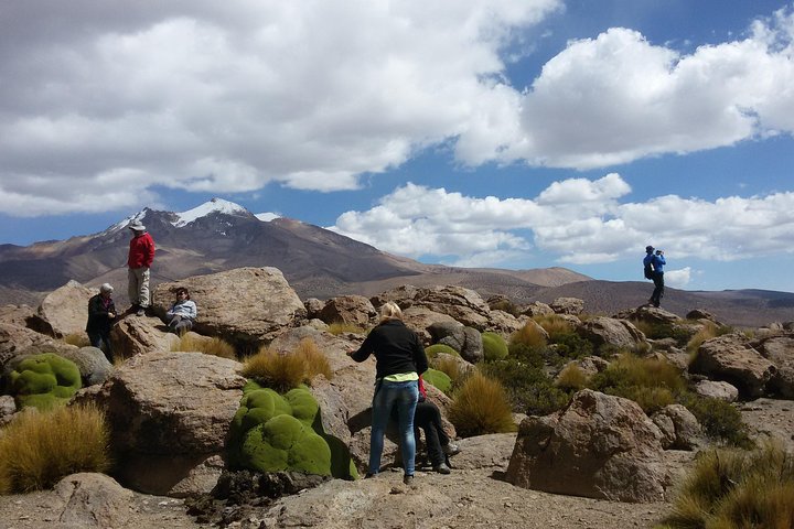 Parco Nazionale Lauca 2D / 1N "Arica - Putre - Lago Chungará - Arica"