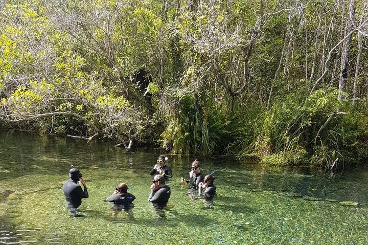 Ohne Anstehen: Recanto Ecologico Rio da Prata Ticket inklusive Trail & Schnorcheln