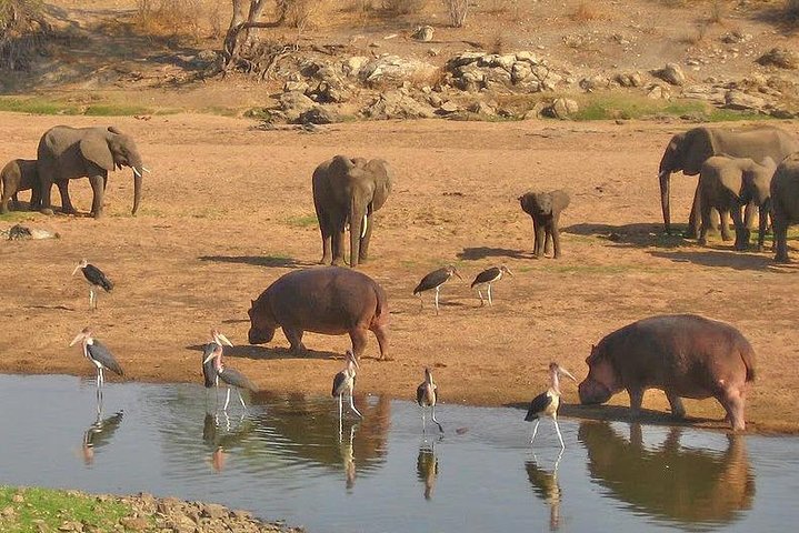 Safari di 8 giorni nel circuito meridionale della Tanzania