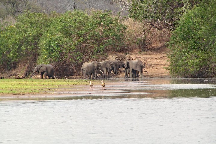 Safari di 8 giorni nel circuito meridionale della Tanzania