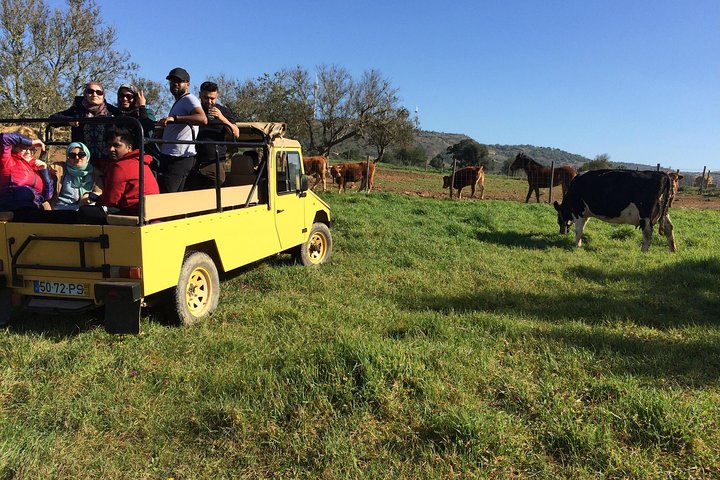Erkunden Sie die Algarve auf dem Land - Halbtägige Jeep Safari