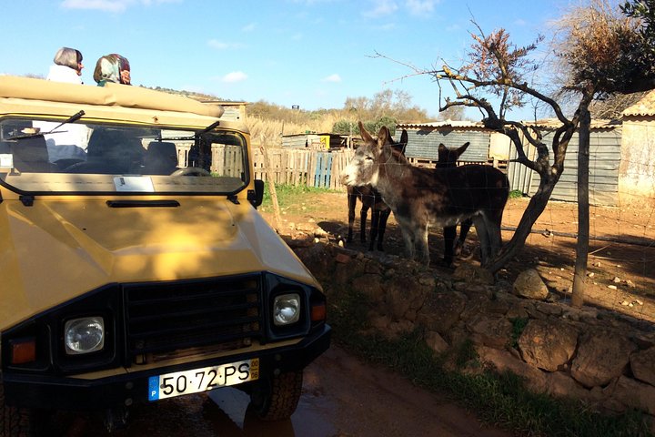 Erkunden Sie die Algarve auf dem Land - Halbtägige Jeep Safari