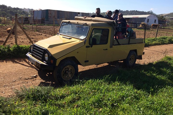 Erkunden Sie die Algarve auf dem Land - Halbtägige Jeep Safari