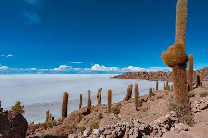 Uyuni Salt 1 daagse tour met gids in het Engels + lunch en zonsondergang