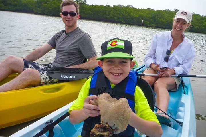 EcoTour guidato dell'isola: kayak CLEAR/Standard, SUP - Bonita Springs