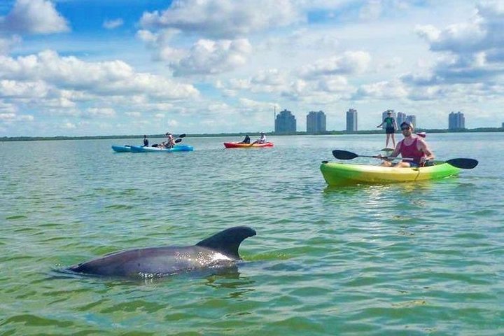 EcoTour guidato dell'isola: kayak CLEAR/Standard, SUP - Bonita Springs