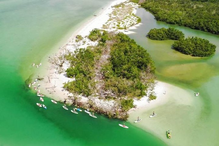 EcoTour guidato dell'isola: kayak CLEAR/Standard, SUP - Bonita Springs