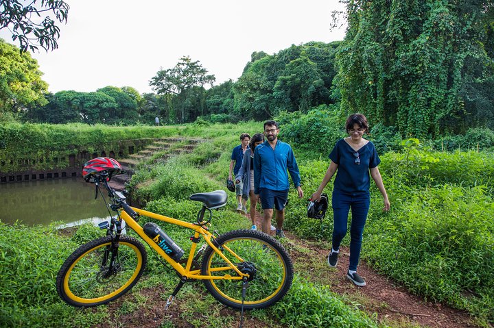 BLive Electric Bike Tours – Discovery of Divar Island