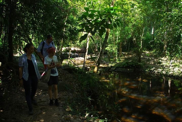 Turer og billetter for å oppleve Phnom Kulen nasjonalpark