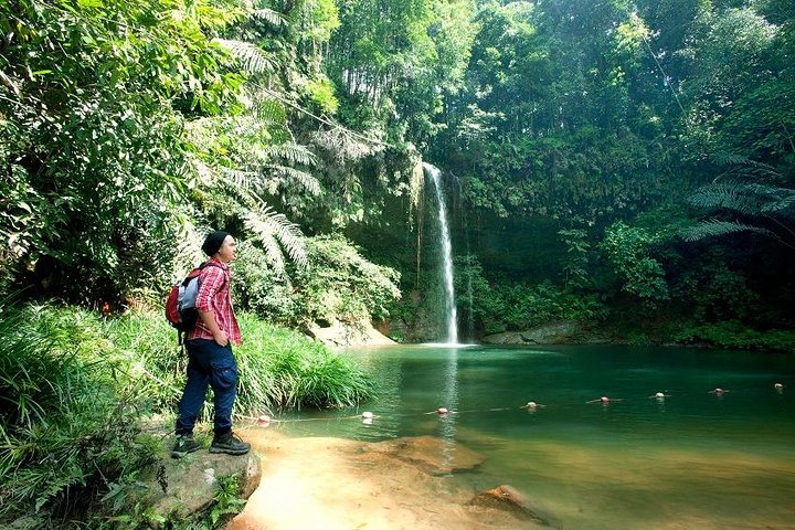Excursion d'une demi-journée au parc national de Lambir Hills depuis Miri