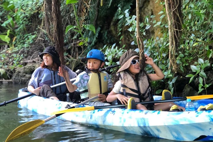 Mangrovekajakken om te genieten van de natuur in Okinawa