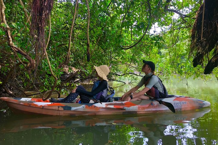 Mangrovekajakken om te genieten van de natuur in Okinawa