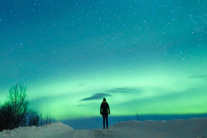 Northern Lights Bus Tour from Reykjavik with Hot Chocolate