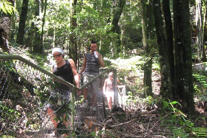 Eksklusiv Blue Mountains Wildlife og Bushwalk tur fra Sydney