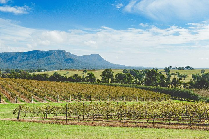 Auszeichnung Hunter Valley Wine & Cheese Tour ab Sydney