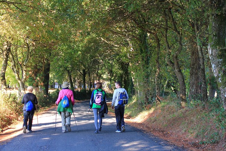 8-dagers Camino Frances Pilgrimage Tour fra Sarria til Santiago - 6 vandringsdager