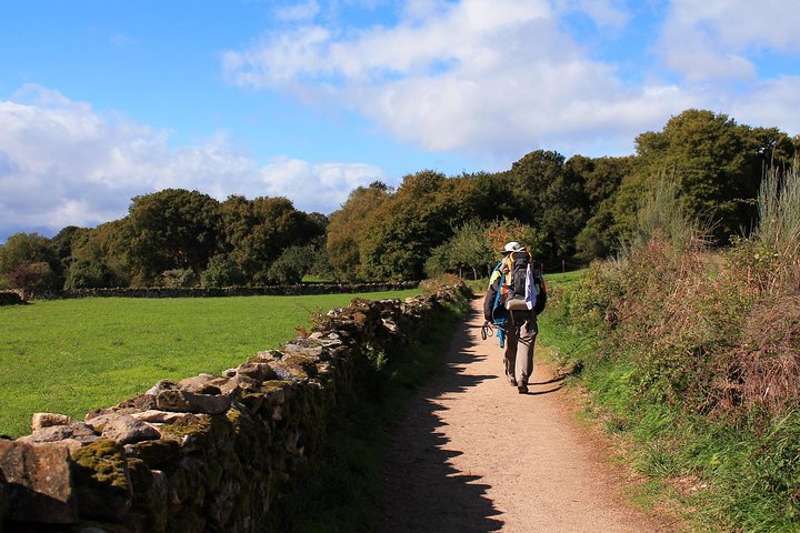 8-dagers Camino Frances Pilgrimage Tour fra Sarria til Santiago - 6 vandringsdager