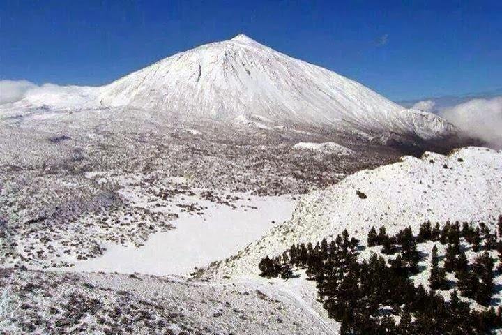 Teide Halvdagstur med buss gjennom nasjonalparken
