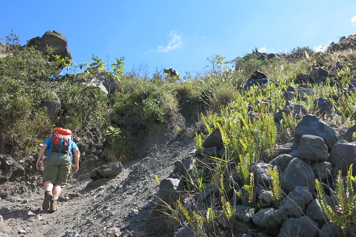 Private Wanderung zu den aktiven Vulkanen Izalco und Cerro Verde. 2 Vulkane an einem Tag!