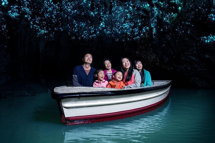 Visite de Hobbiton et des Grottes à Lucioles de Waitomo avec déjeuner depuis Auckland