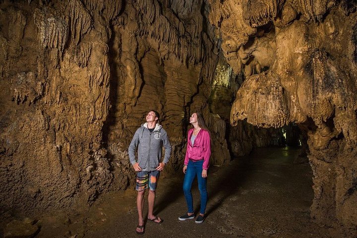Visite de Hobbiton et des Grottes à Lucioles de Waitomo avec déjeuner depuis Auckland