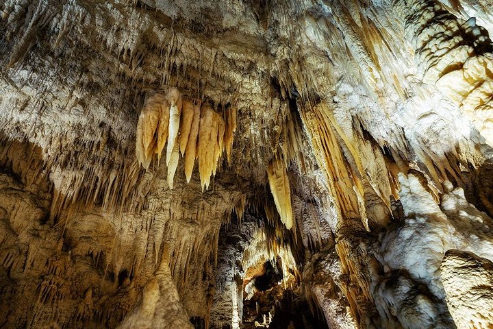 Visite de Hobbiton et des Grottes à Lucioles de Waitomo avec déjeuner depuis Auckland