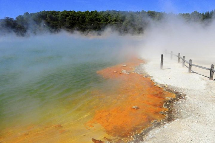 Hobbiton, Rotorua und Waiotapu Kleingruppenreise ab Auckland