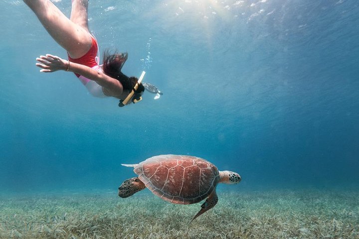 Culebra Snorkel avec Tortues & Flamenco Beach Adventure en Ferry