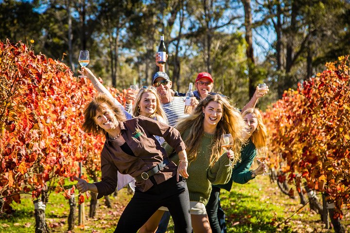 Margaret River Winery, tour della fabbrica di birra con pranzo gourmet.