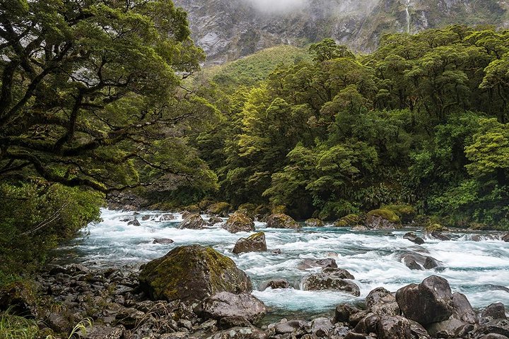 Excursión premium a Milford Sound, crucero y almuerzo desde Te Anau