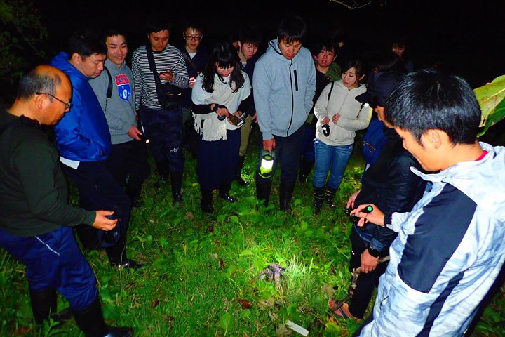 Visite nocturne du ciel étoilé et de la jungle de l'île d'Okinawa Iriomote, planétarium naturel et créatures tropicales rares