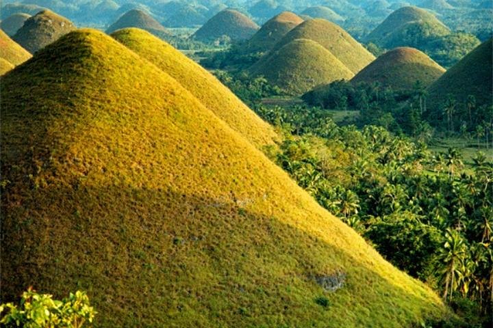 Tour de las colinas de chocolate con almuerzo buffet en el río Tarsier y Loboc (tour de medio día)